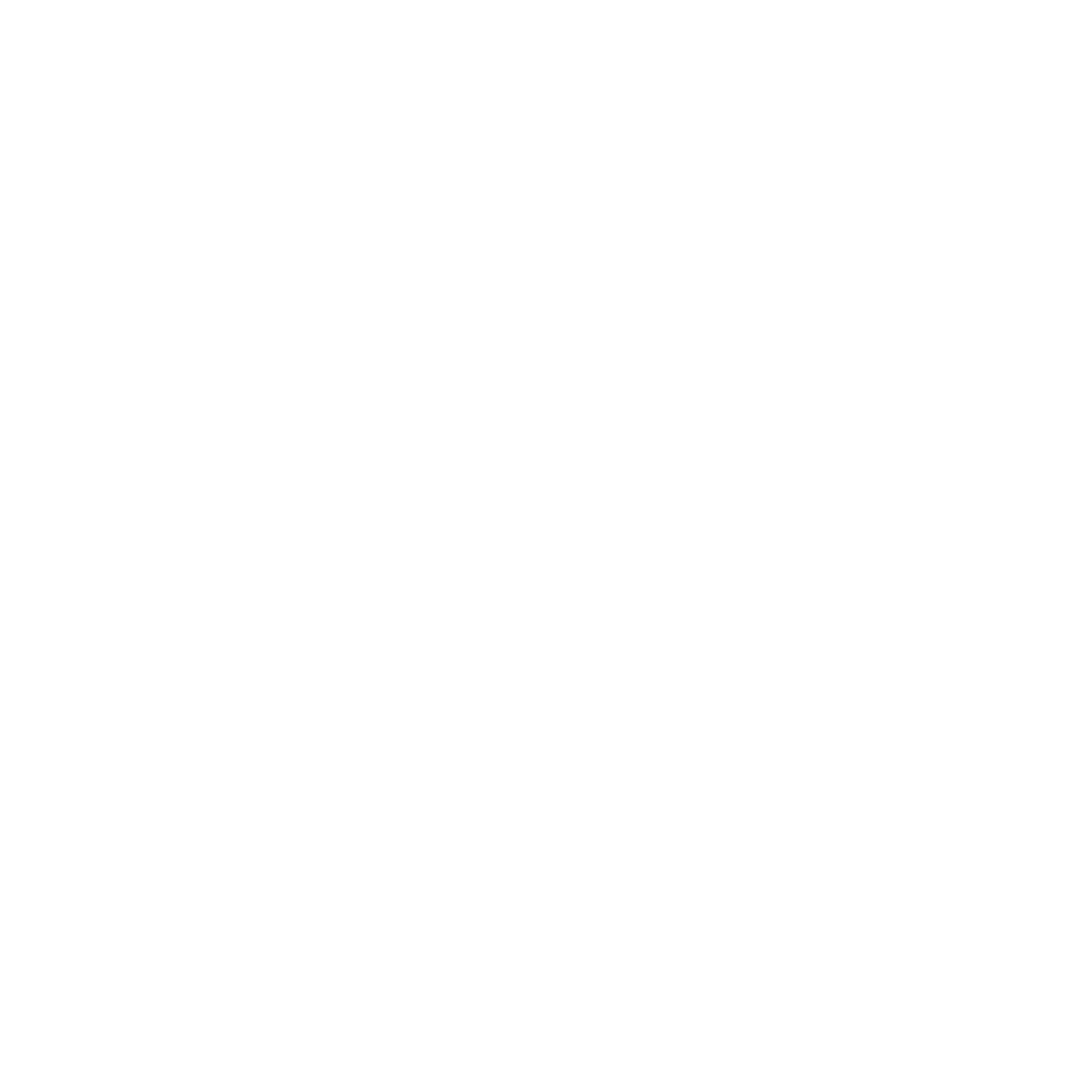 Savey Logo - White Text